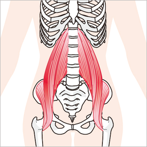 インナーマッスル